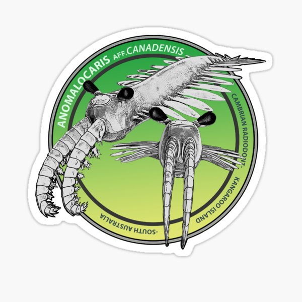 Item preview, Cambrian Collection, Anomalocaris canadensis designed and sold by Katrina Kenny.