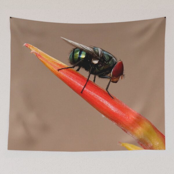 Item preview, Little Fly designed and sold by Geoff Treagus.
