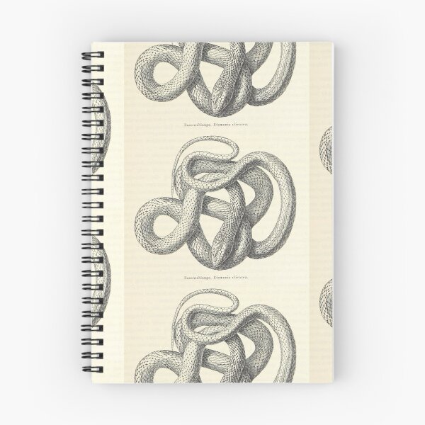 Aperçu de l'œuvre Dessin de serpent noir - serpent à fouet vintage créée et vendue par AJS-Designs.