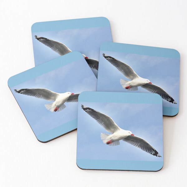 Item preview, Red-Billed Gull In Flight (HDR) designed and sold by Phil Le Cren.