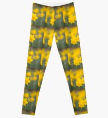 Daffodil yellow Leggings