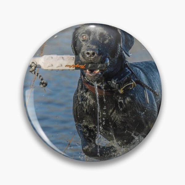 Item preview, duck dog in training designed and sold by aim4adventure.