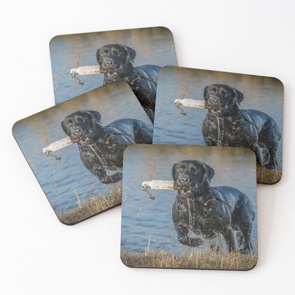 Item preview, duck dog in training designed and sold by aim4adventure.
