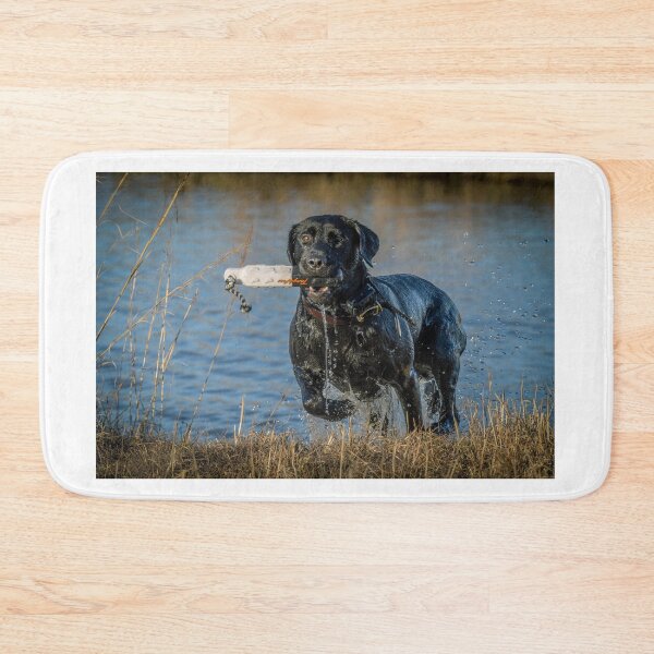 Item preview, duck dog in training designed and sold by aim4adventure.