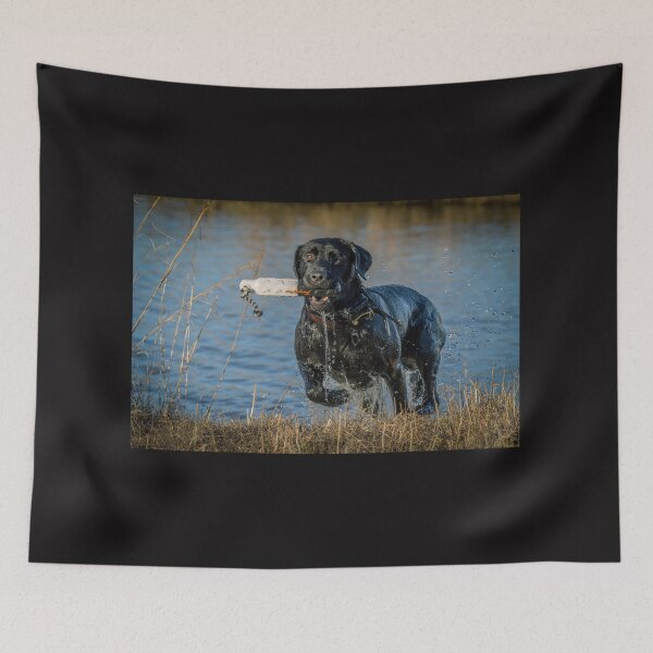 Item preview, duck dog in training designed and sold by aim4adventure.
