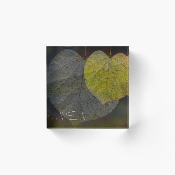 Heart and Soul Moody Leaves Acrylic Block