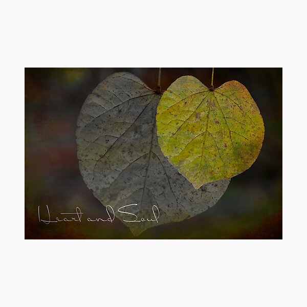 Heart and Soul Moody Leaves Photographic Print