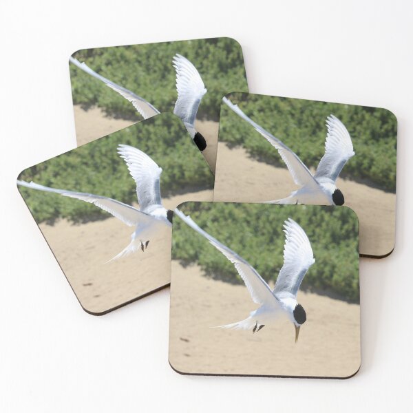 Item preview, Wings of a Crested Tern designed and sold by Michaela Perryman.