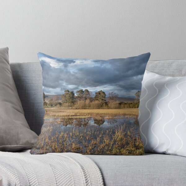 Item preview, A perfect evening designed and sold by Thistle Images.