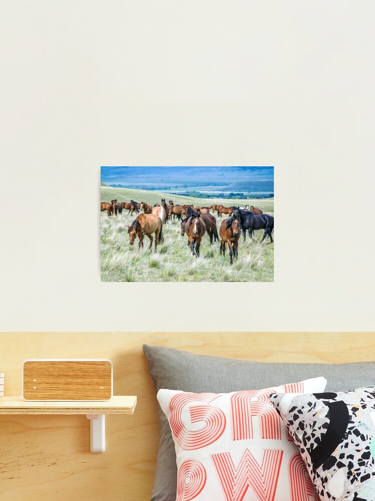 Thumbnail 1 of 3, Photographic Print, Montana Horses designed and sold by Jerry Walter.