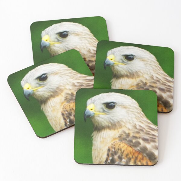 Item preview, Red-shouldered hawk in North Florida designed and sold by uglyishart.