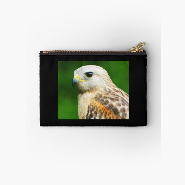Item preview, Red-shouldered hawk in North Florida designed and sold by uglyishart.