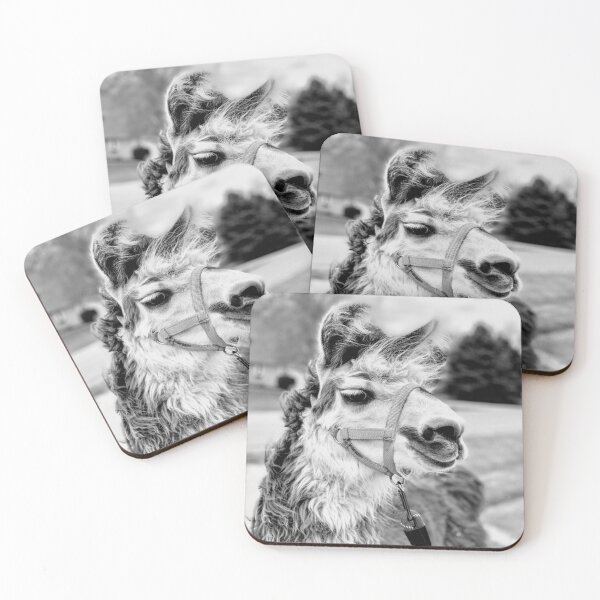 Item preview, Llamas Unite  designed and sold by MidnightInk Designs.