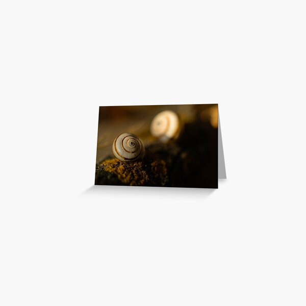 Vista previa del artículo con la obra «Un mismo sol para los dos», diseñado y vendido por ILODESIGNS.