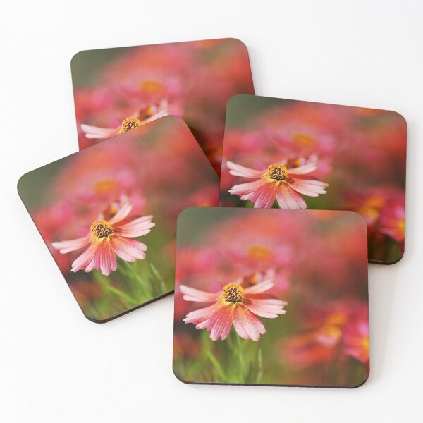 Item preview, Rum Punch Plant Delicate Warmth Coreopsis  designed and sold by Joy Watson - Natural Light Photography .