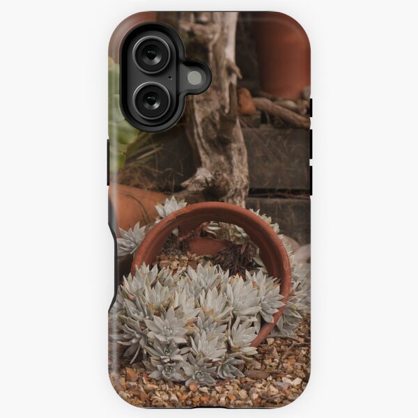 Item preview, Succulent designed and sold by Jennifer Bradford.