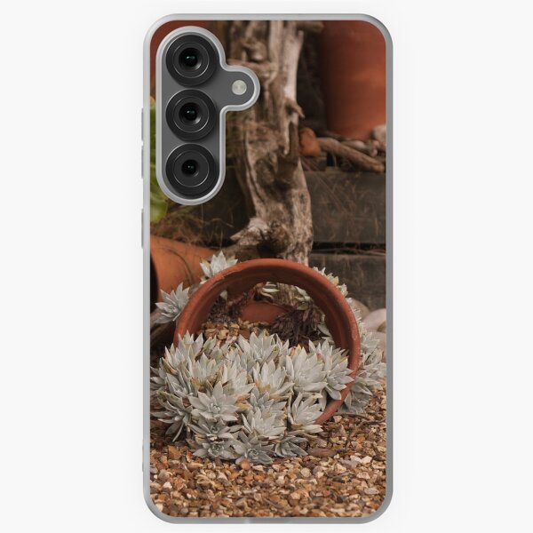 Item preview, Succulent designed and sold by Jennifer Bradford.