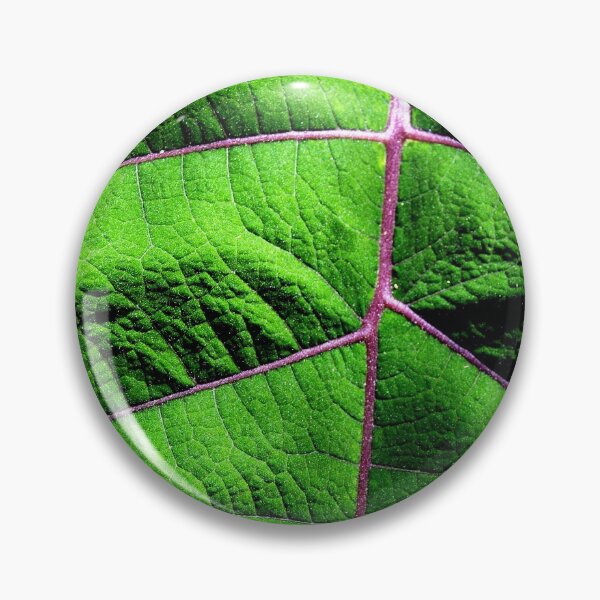 Item preview, Green leaf designed and sold by Alex Mokrzycki.