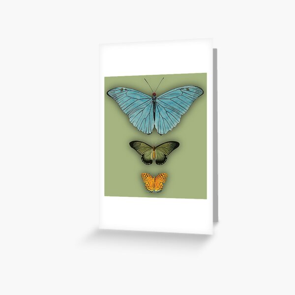 Buggies Greeting Card