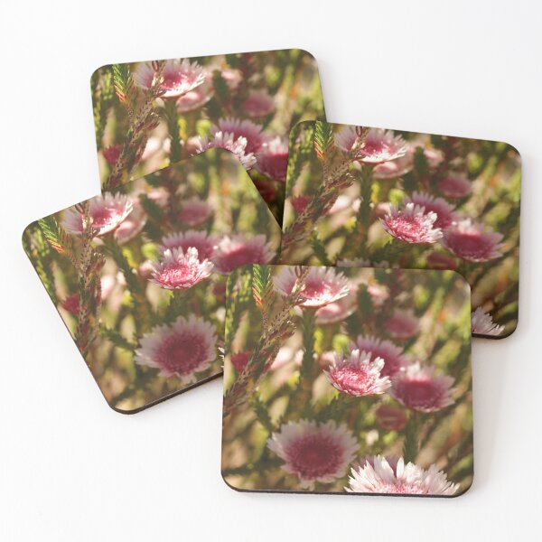 Item preview, Albany Daisy designed and sold by Michaela Perryman.