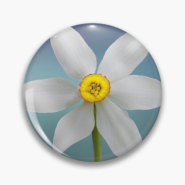 Item preview, A macro photo of a wonderful flower designed and sold by AhMath.