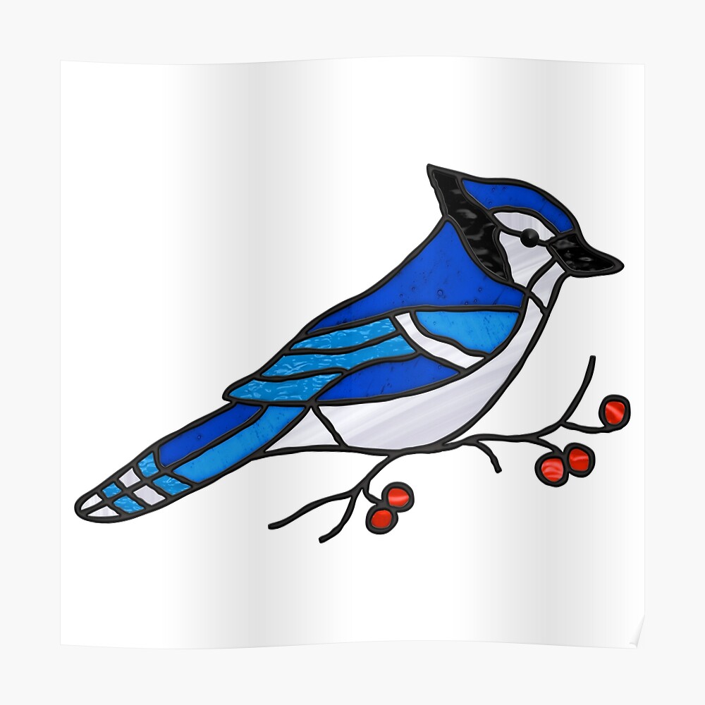 Blue jay Clipart