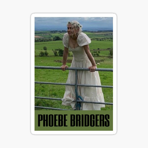 Artikel-Vorschau von Phoebe Bridgers, designt und verkauft von nicolepee.