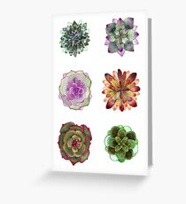 Succulents | Plants - Watercolor Greeting Card
