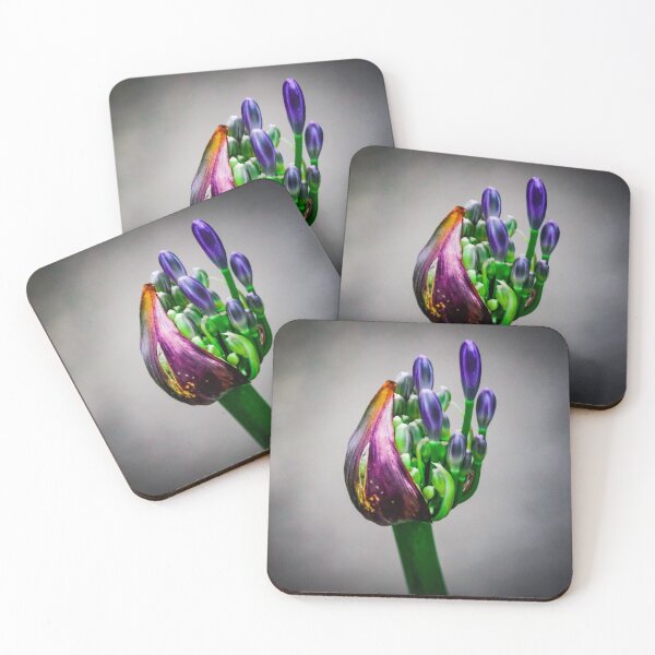 Item preview, Budding Agapanthus Flower designed and sold by Jimaba.