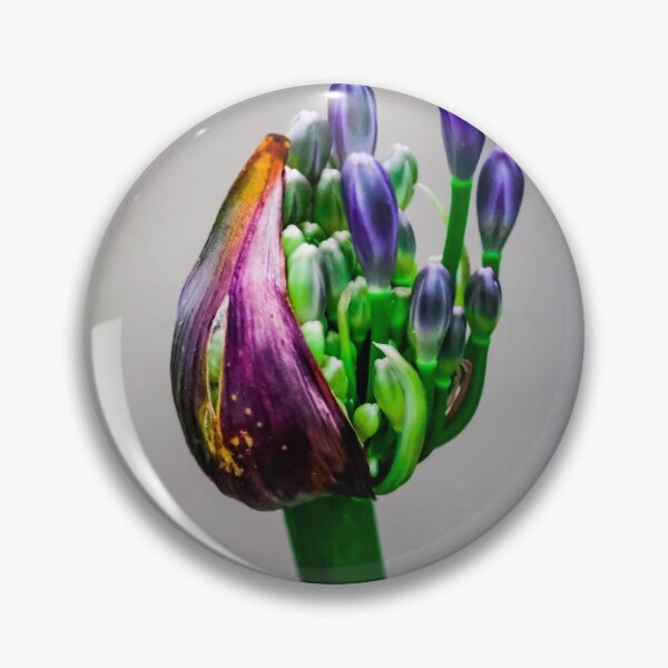 Item preview, Budding Agapanthus Flower designed and sold by Jimaba.