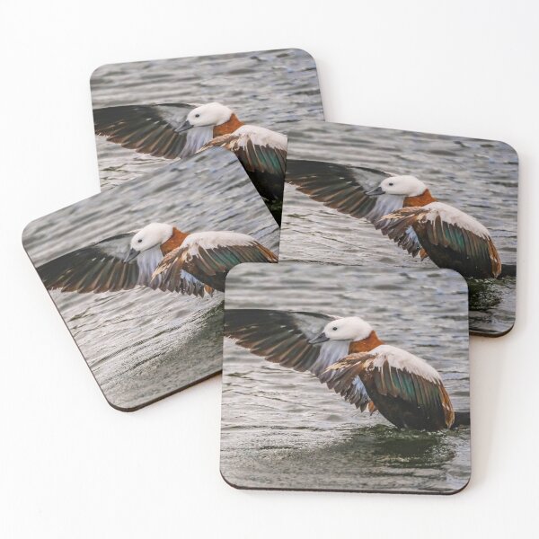Item preview, New Zealand Duck Flapping designed and sold by Jimaba.