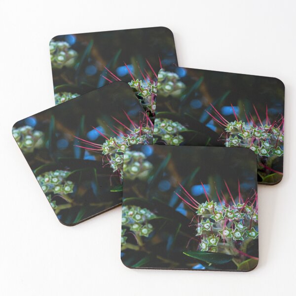 Item preview, Wilting Puhetekawa Flower designed and sold by Jimaba.