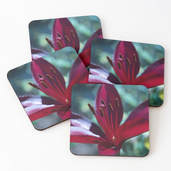 Item preview, Deep Red Lily - Asiatic Lily designed and sold by imaginethis.