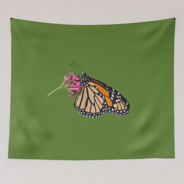 Item preview, Monarch butterfly designed and sold by pietrofoto.