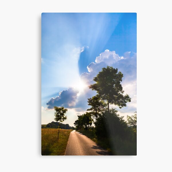 Summer morning Metal Print
