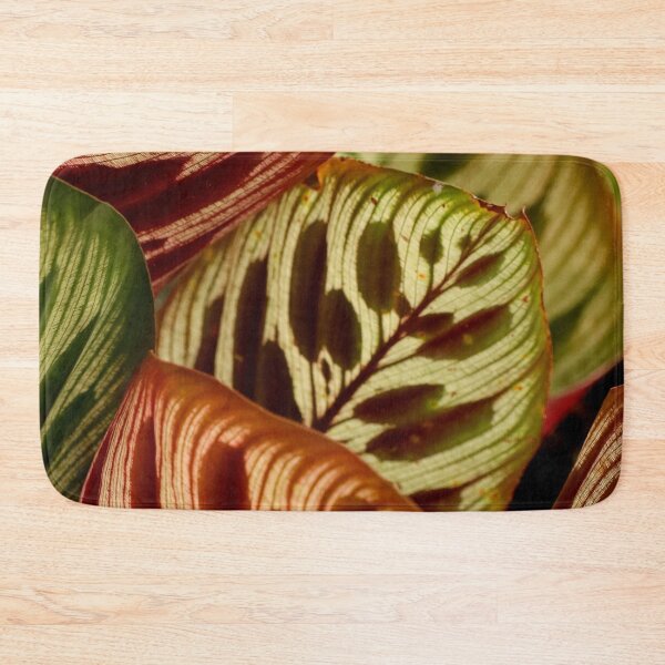 Item preview, Colourful Leaves, in the Subtropics of Brisbane's City Based Botanical Gardens designed and sold by Geoff Treagus.