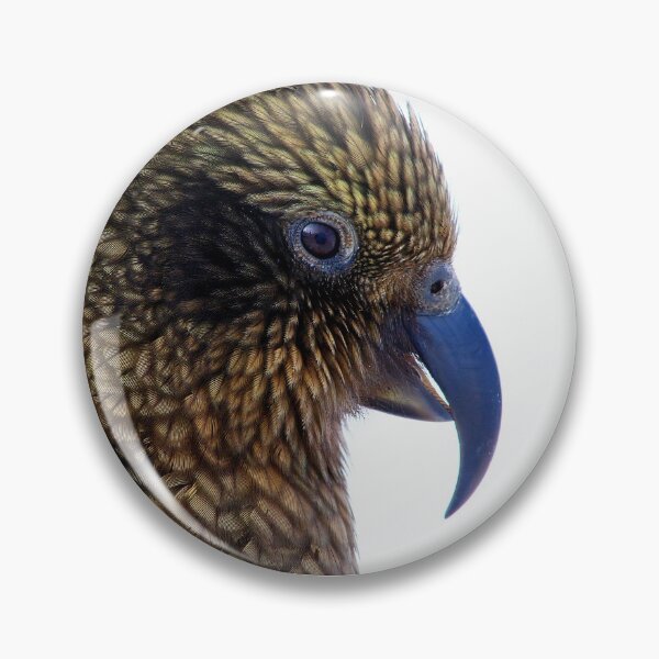 Item preview, Kea - New Zealand's Alpine Parrot (2) designed and sold by Phil Le Cren.