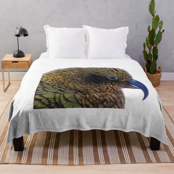 Item preview, Kea - New Zealand's Alpine Parrot (2) designed and sold by Phil Le Cren.