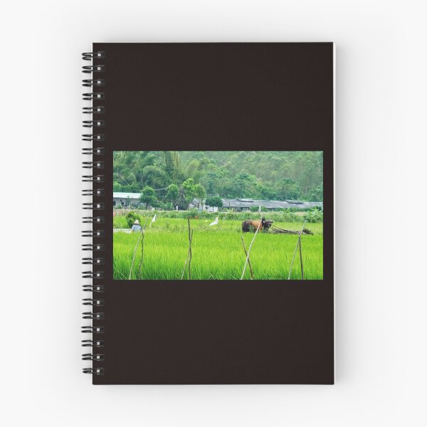 Item preview, foto "trabajo en el campo" Sur de China designed and sold by Patblanche.