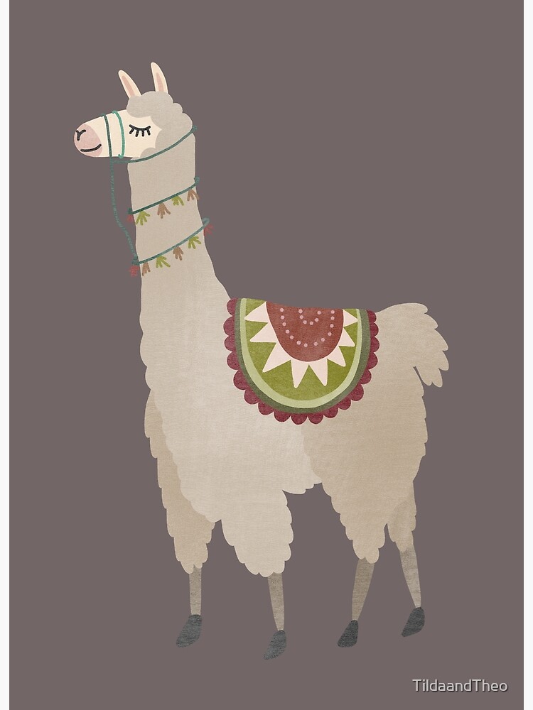 cute lama and alpaca illustration for kids