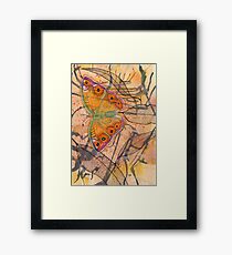 "Meadow Argus" Framed Print