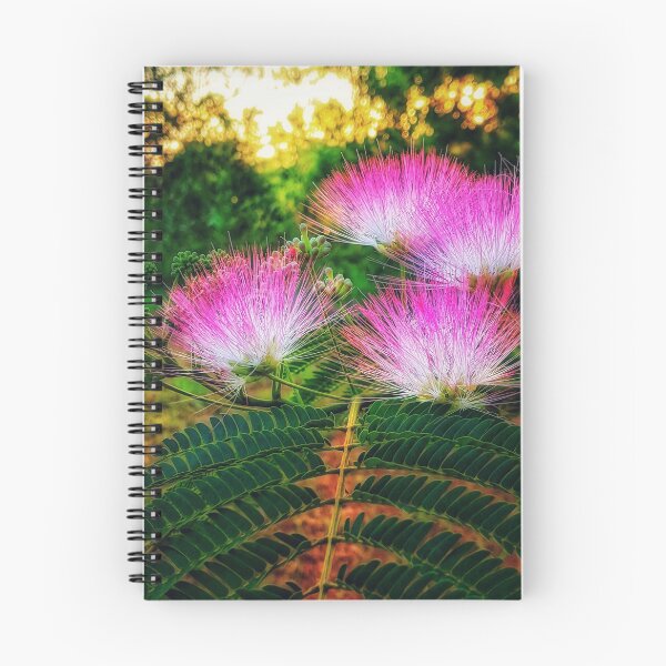 Item preview, Mimosa designed and sold by TimzPhotos.
