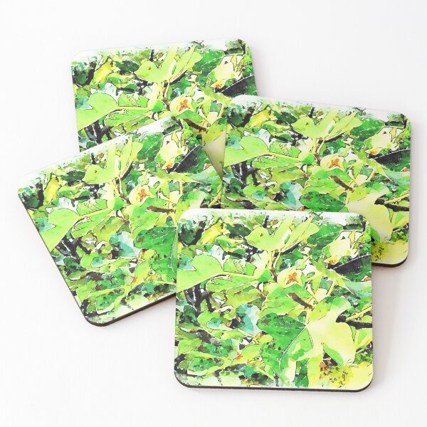 Item preview, Hortus Conclusus: fig tree designed and sold by Giuseppe Cocco.
