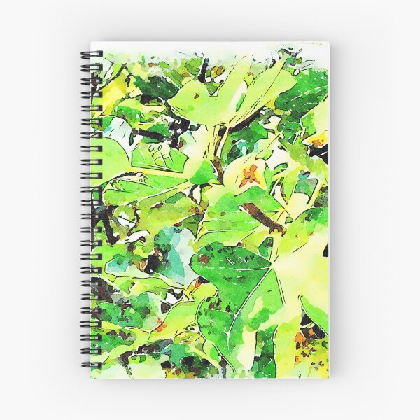 Item preview, Hortus Conclusus: fig tree designed and sold by Giuseppe Cocco.