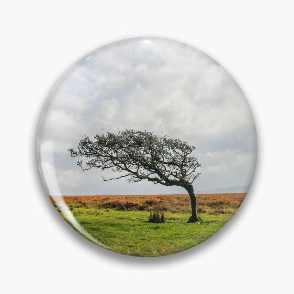 Item preview, Windswept Tree designed and sold by Dave Hare Photography.