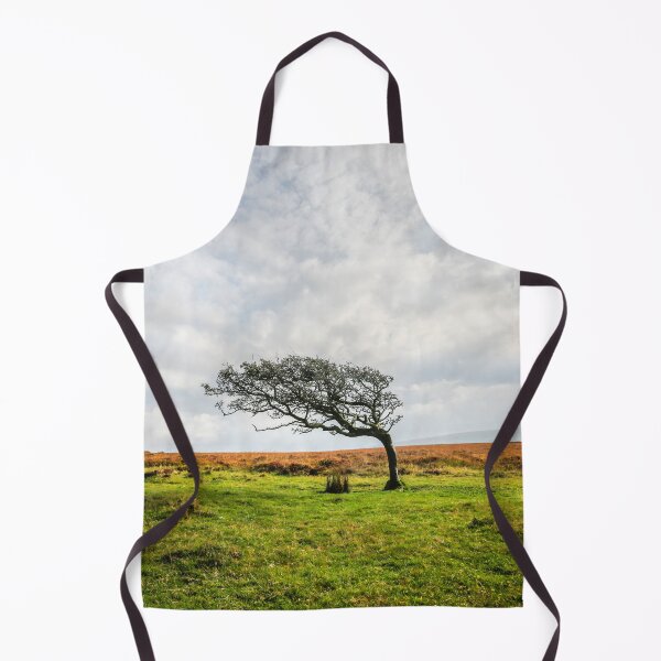 Item preview, Windswept Tree designed and sold by Dave Hare Photography.