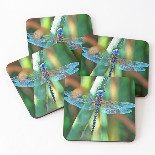 Item preview, Fantasy Dragonfly In Turquoise and Black designed and sold by taiche.