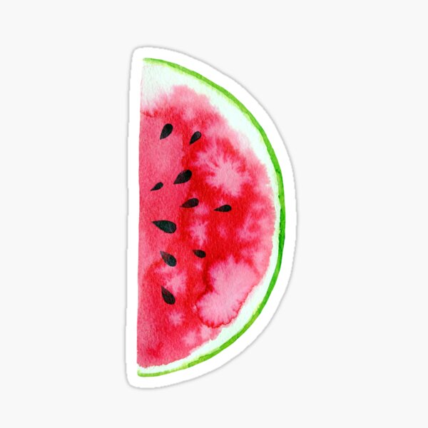 Watercolor watermelon slices Sticker