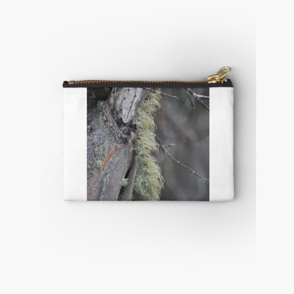 Item preview, A little Moss. designed and sold by Lorraine McCarthy.