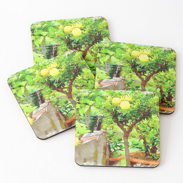 Item preview, Hortus Conclusus: lemon tree designed and sold by Giuseppe Cocco.